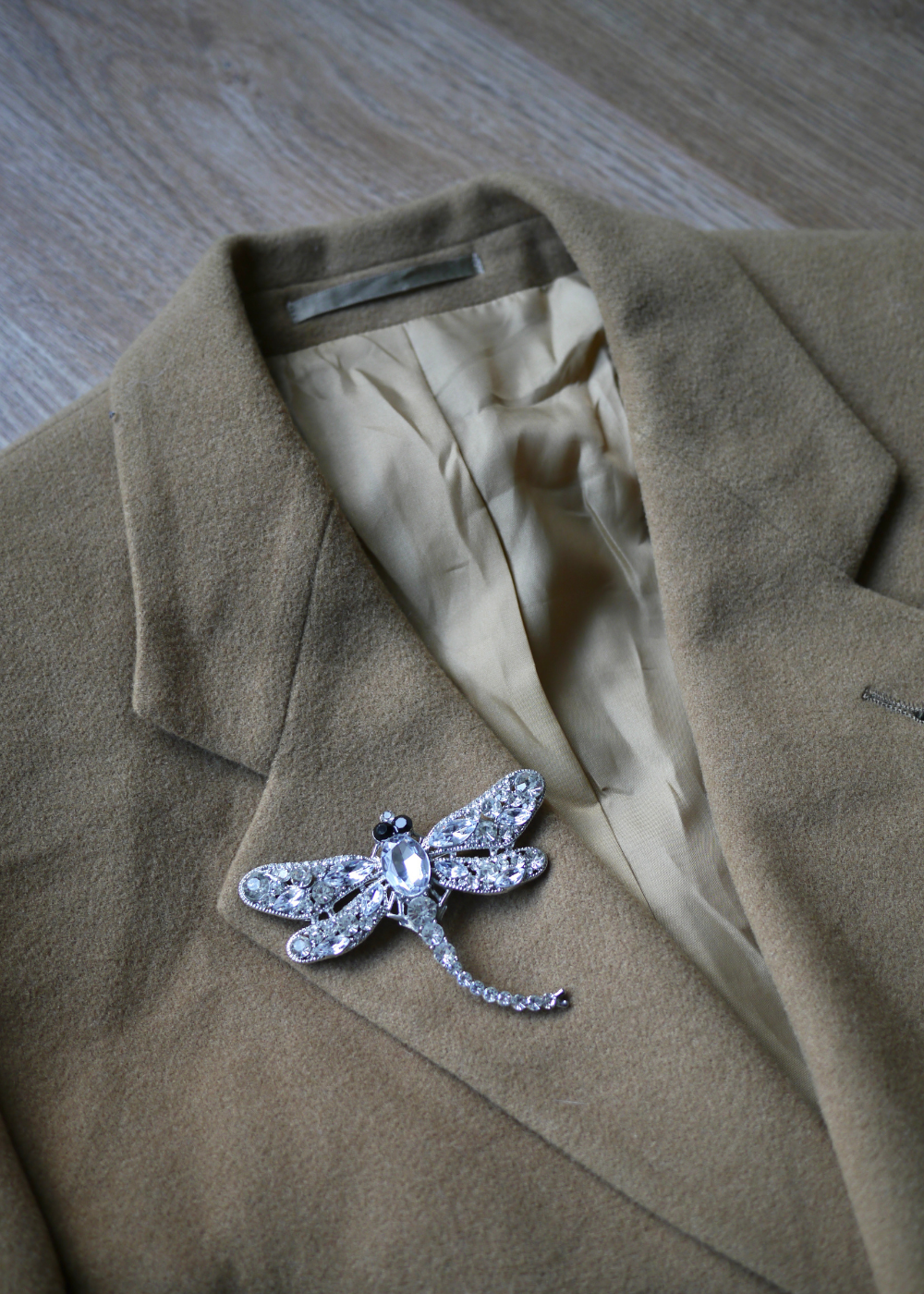 Zilveren libelle broche