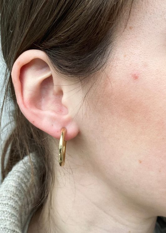 Gouden ringen (stekers)
