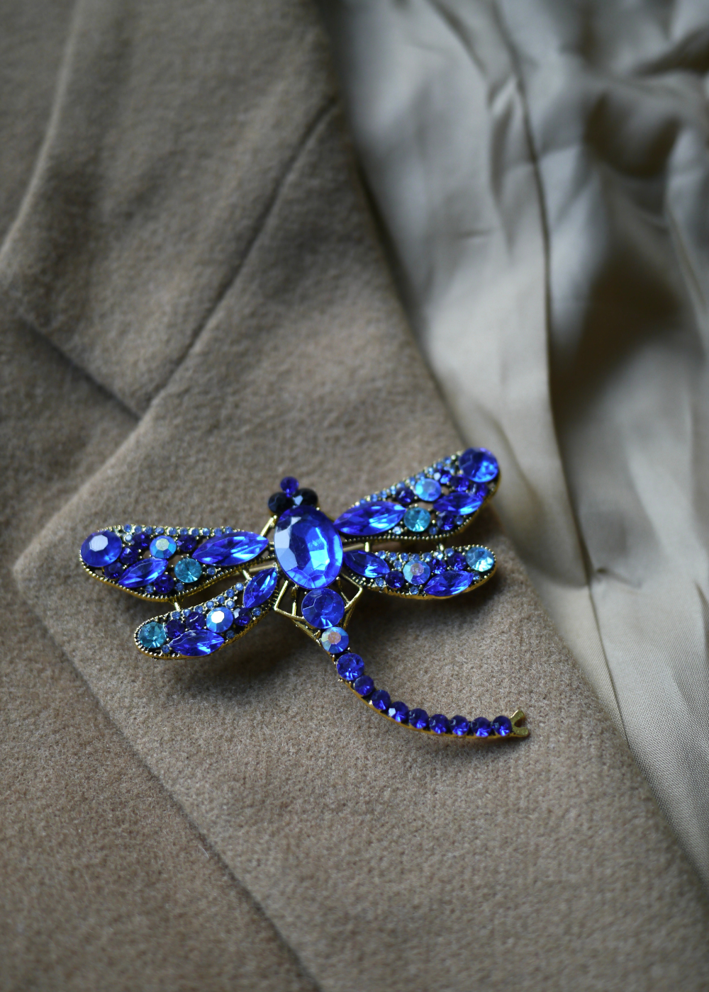 Blauwe libelle